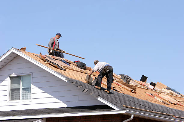 Emergency Roof Repair in Madison, MN