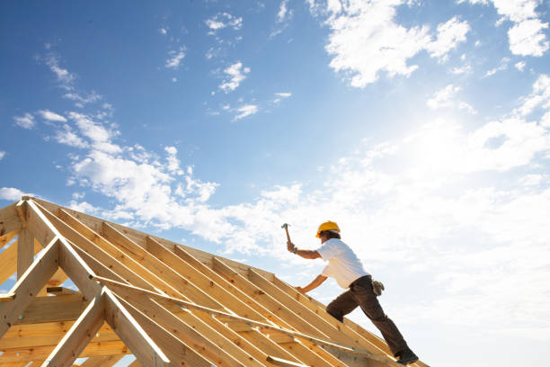 Best Emergency Roof Repair  in Madison, MN